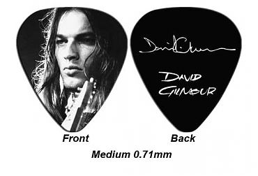 David Gilmour Picks